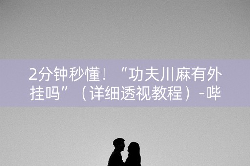 2分钟秒懂！“功夫川麻有外挂吗”（详细透视教程）-哔哩哔哩