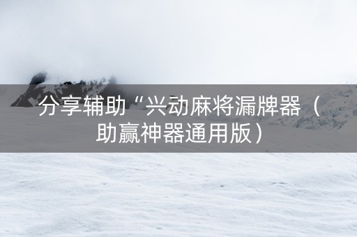 分享辅助“兴动麻将漏牌器（助赢神器通用版）