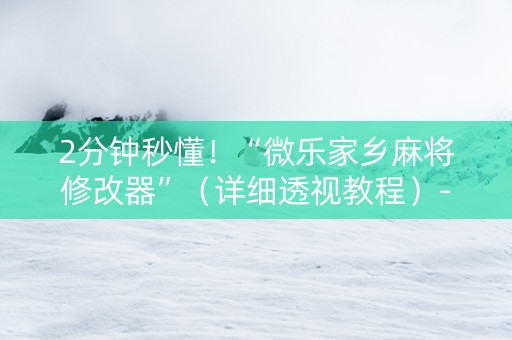 2分钟秒懂！“微乐家乡麻将修改器”（详细透视教程）-哔哩哔哩