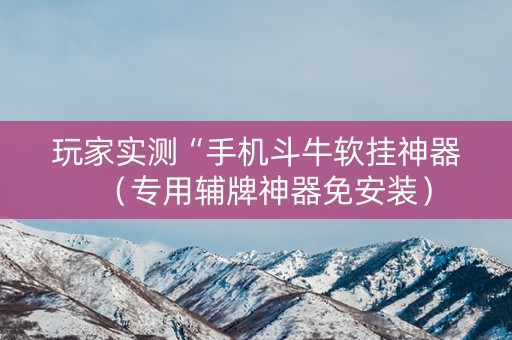 玩家实测“手机斗牛软挂神器（专用辅牌神器免安装）
