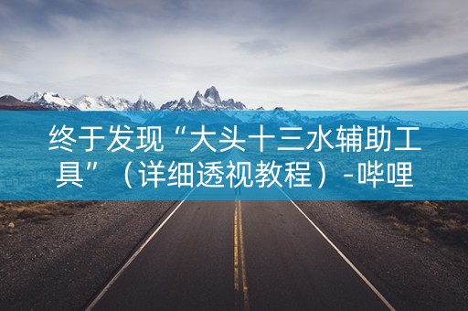 终于发现“大头十三水辅助工具”（详细透视教程）-哔哩哔哩