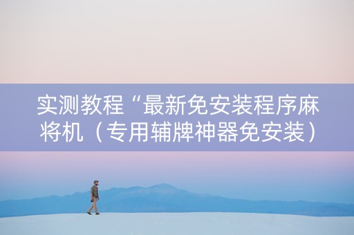 实测教程“最新免安装程序麻将机（专用辅牌神器免安装）