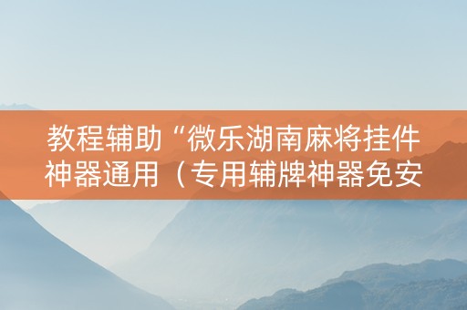 教程辅助“微乐湖南麻将挂件神器通用（专用辅牌神器免安装）