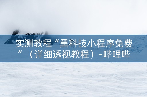 实测教程“黑科技小程序免费”（详细透视教程）-哔哩哔哩
