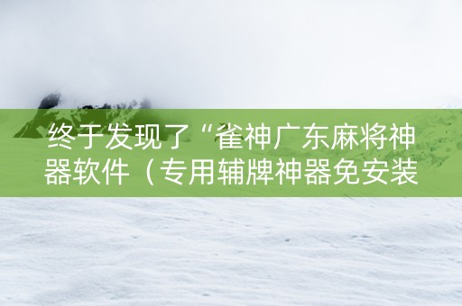 终于发现了“雀神广东麻将神器软件（专用辅牌神器免安装）
