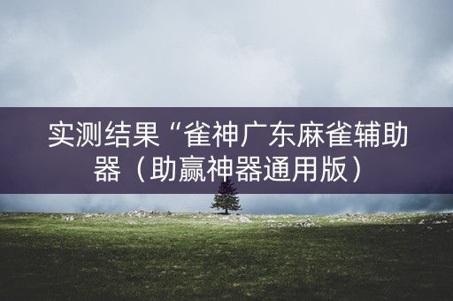 实测结果“雀神广东麻雀辅助器（助赢神器通用版）