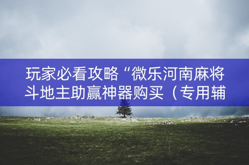 玩家必看攻略“微乐河南麻将斗地主助赢神器购买（专用辅牌神器免安装）