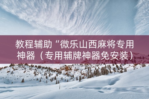 教程辅助“微乐山西麻将专用神器（专用辅牌神器免安装）