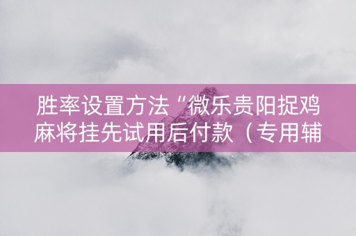 胜率设置方法“微乐贵阳捉鸡麻将挂先试用后付款（专用辅牌神器免安装）