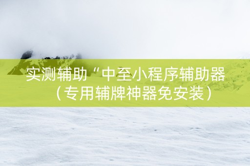 实测辅助“中至小程序辅助器（专用辅牌神器免安装）