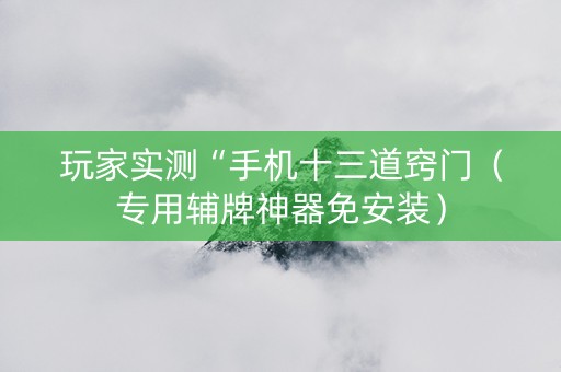 玩家实测“手机十三道窍门（专用辅牌神器免安装）