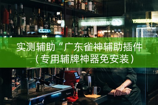 实测辅助“广东雀神辅助插件（专用辅牌神器免安装）