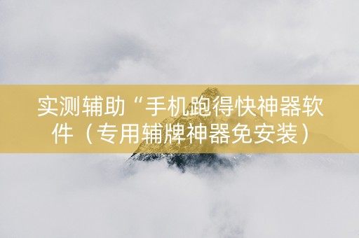 实测辅助“手机跑得快神器软件（专用辅牌神器免安装）