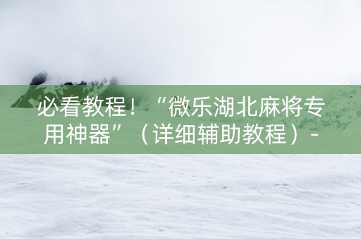 必看教程！“微乐湖北麻将专用神器”（详细辅助教程）-哔哩哔哩