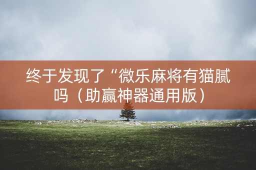 终于发现了“微乐麻将有猫腻吗（助赢神器通用版）
