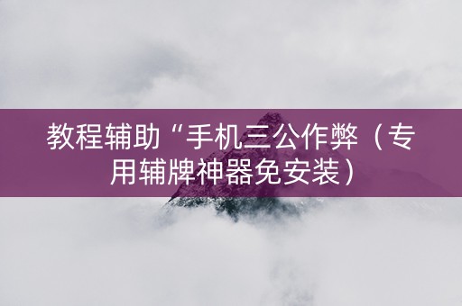 教程辅助“手机三公作弊（专用辅牌神器免安装）
