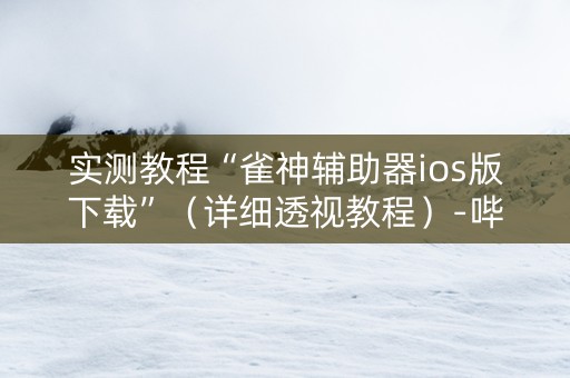 实测教程“雀神辅助器ios版下载”（详细透视教程）-哔哩哔哩