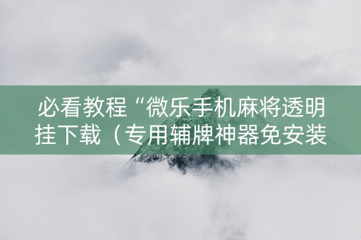 必看教程“微乐手机麻将透明挂下载（专用辅牌神器免安装）