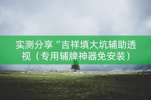 实测分享“吉祥填大坑辅助透视（专用辅牌神器免安装）