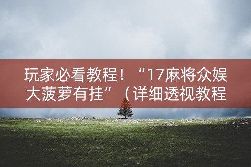 玩家必看教程！“17麻将众娱大菠萝有挂”（详细透视教程）-哔哩哔哩