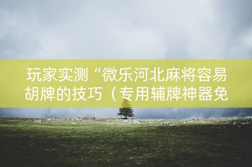 玩家实测“微乐河北麻将容易胡牌的技巧（专用辅牌神器免安装）
