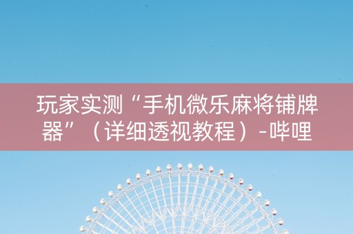 玩家实测“手机微乐麻将铺牌器”（详细透视教程）-哔哩哔哩