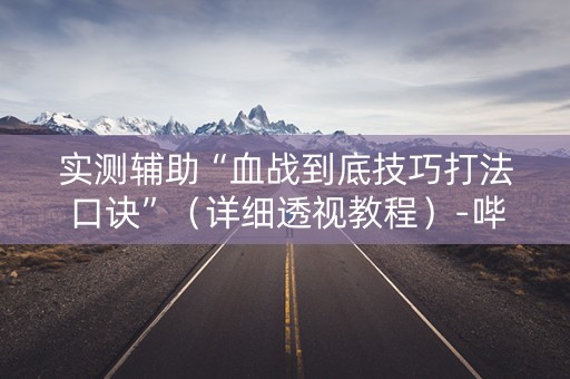 实测辅助“血战到底技巧打法口诀”（详细透视教程）-哔哩哔哩