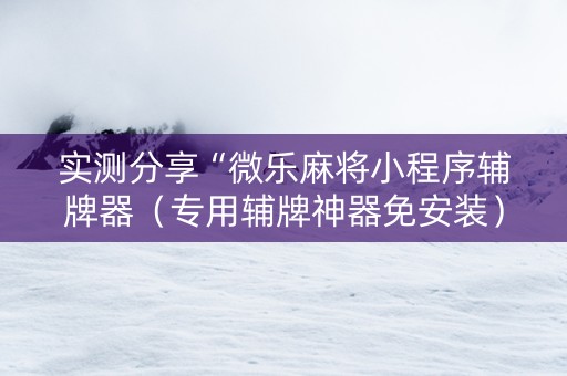 实测分享“微乐麻将小程序辅牌器（专用辅牌神器免安装）