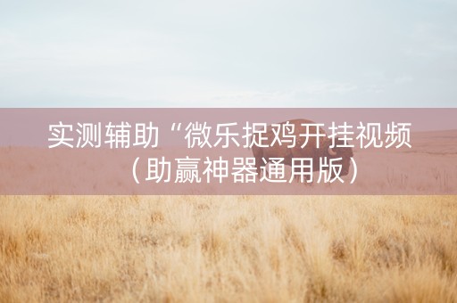 实测辅助“微乐捉鸡开挂视频（助赢神器通用版）
