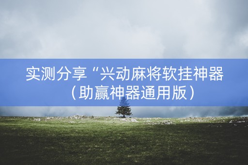 实测分享“兴动麻将软挂神器（助赢神器通用版）