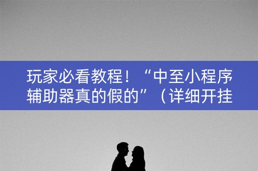 玩家必看教程！“中至小程序辅助器真的假的”（详细开挂教程）-哔哩哔哩