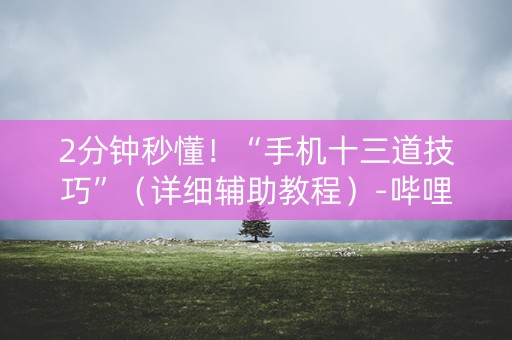 2分钟秒懂！“手机十三道技巧”（详细辅助教程）-哔哩哔哩