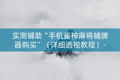 实测辅助“手机雀神麻将辅牌器购买”（详细透视教程）-哔哩哔哩