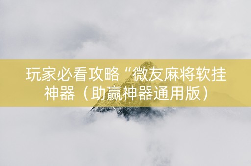 玩家必看攻略“微友麻将软挂神器（助赢神器通用版）