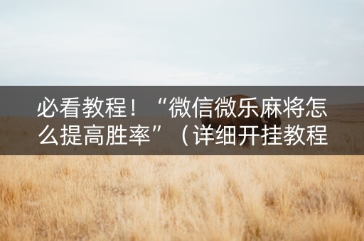 必看教程！“微信微乐麻将怎么提高胜率”（详细开挂教程）-哔哩哔哩