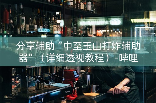 分享辅助“中至玉山打炸辅助器”（详细透视教程）-哔哩哔哩