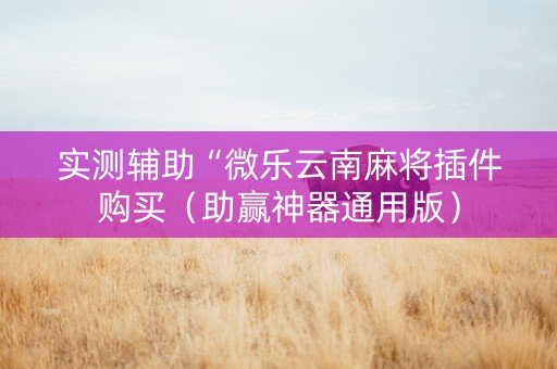 实测辅助“微乐云南麻将插件购买（助赢神器通用版）