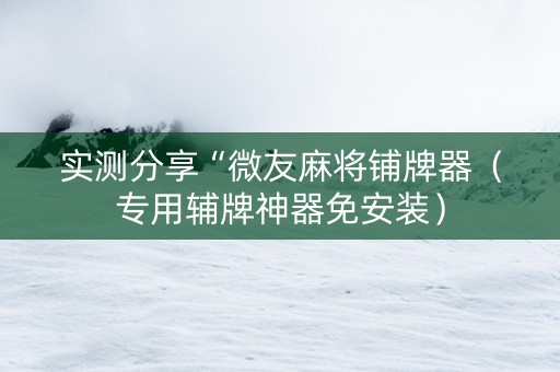 实测分享“微友麻将铺牌器（专用辅牌神器免安装）