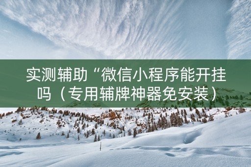实测辅助“微信小程序能开挂吗（专用辅牌神器免安装）