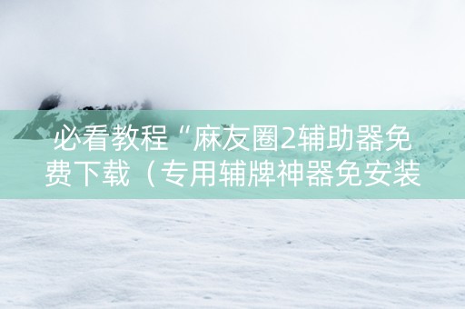 必看教程“麻友圈2辅助器免费下载（专用辅牌神器免安装）
