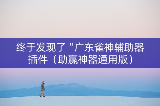 终于发现了“广东雀神辅助器插件（助赢神器通用版）