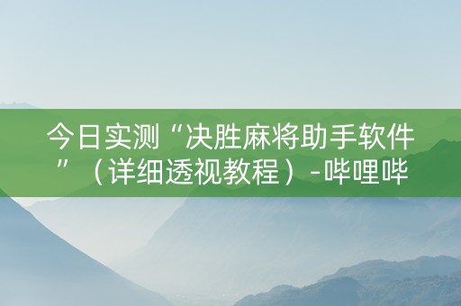 今日实测“决胜麻将助手软件”（详细透视教程）-哔哩哔哩