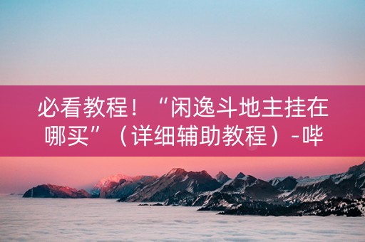 必看教程！“闲逸斗地主挂在哪买”（详细辅助教程）-哔哩哔哩