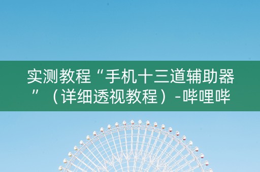 实测教程“手机十三道辅助器”（详细透视教程）-哔哩哔哩