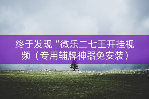 终于发现“微乐二七王开挂视频（专用辅牌神器免安装）