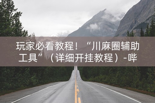 玩家必看教程！“川麻圈辅助工具”（详细开挂教程）-哔哩哔哩
