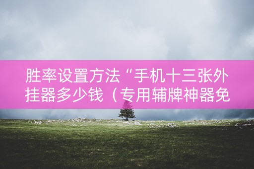 胜率设置方法“手机十三张外挂器多少钱（专用辅牌神器免安装）