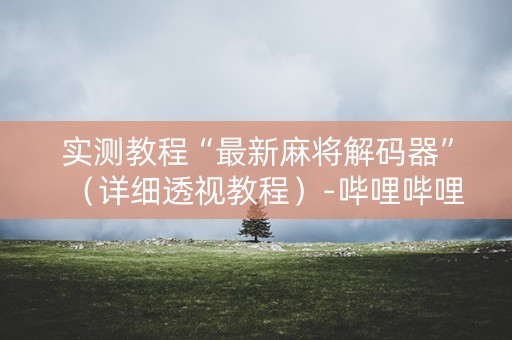 实测教程“最新麻将解码器”（详细透视教程）-哔哩哔哩
