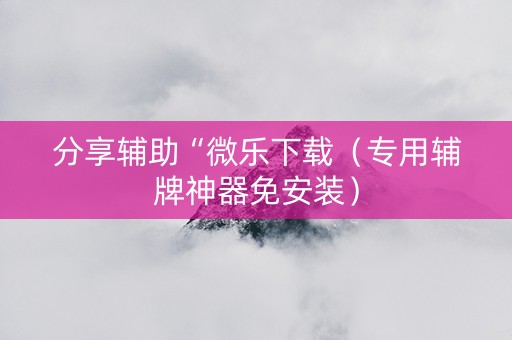 分享辅助“微乐下载（专用辅牌神器免安装）