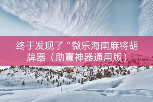 终于发现了“微乐海南麻将胡牌器（助赢神器通用版）